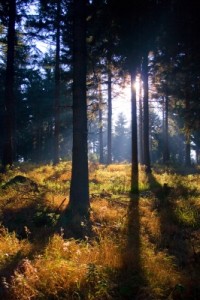 Marchenhafte Drehorte Wo Das Kalte Herz Schlagt Marchen Im Film