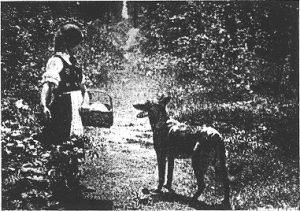 "Rotkäppchen" (1928): Filmdreh in der Natur / Quelle: Der Bildwart