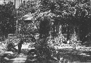 „Rotkäppchen“ (1928): Das Haus der Großmutter / Quelle: Der Bildwart